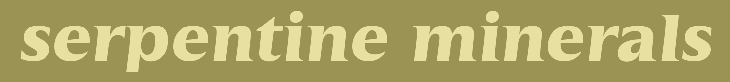 highlight_home